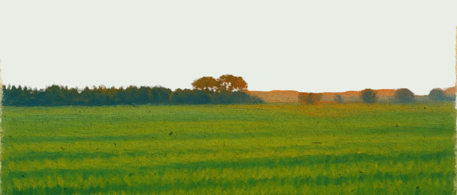 Harry’s Ambient Monthly