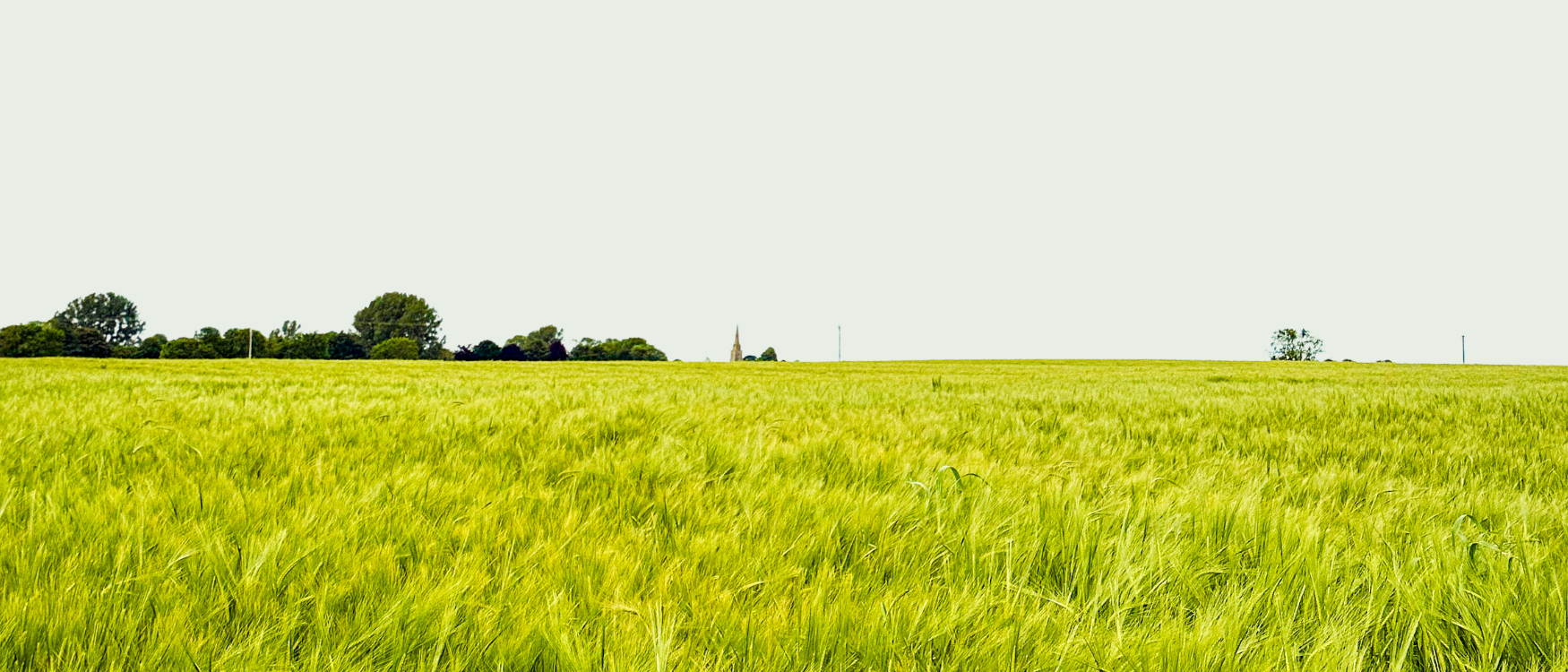 Harry's Ambient Monthly 2