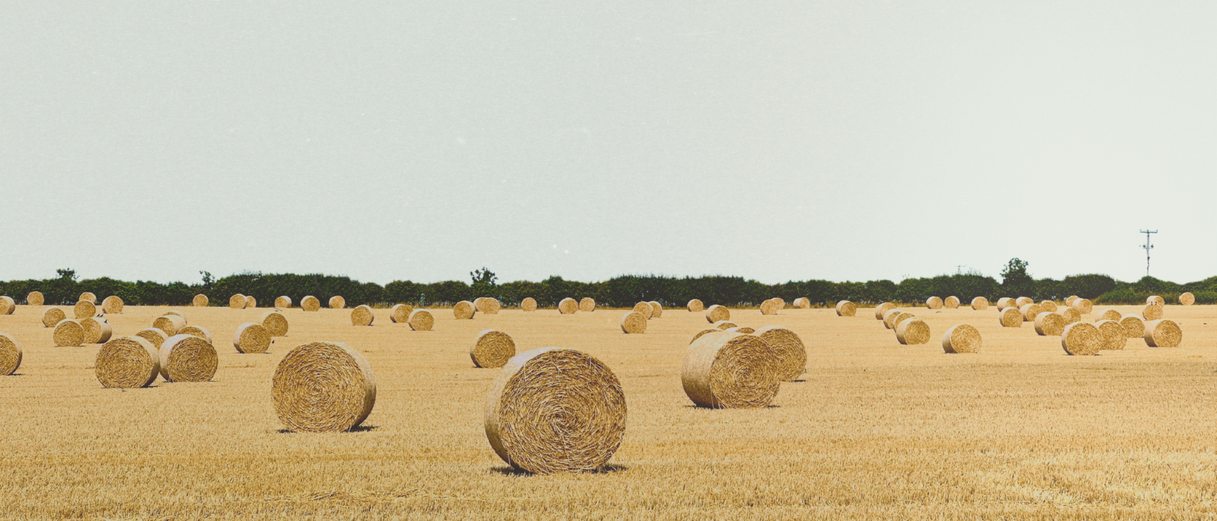 Harry's Ambient Monthly: August '26