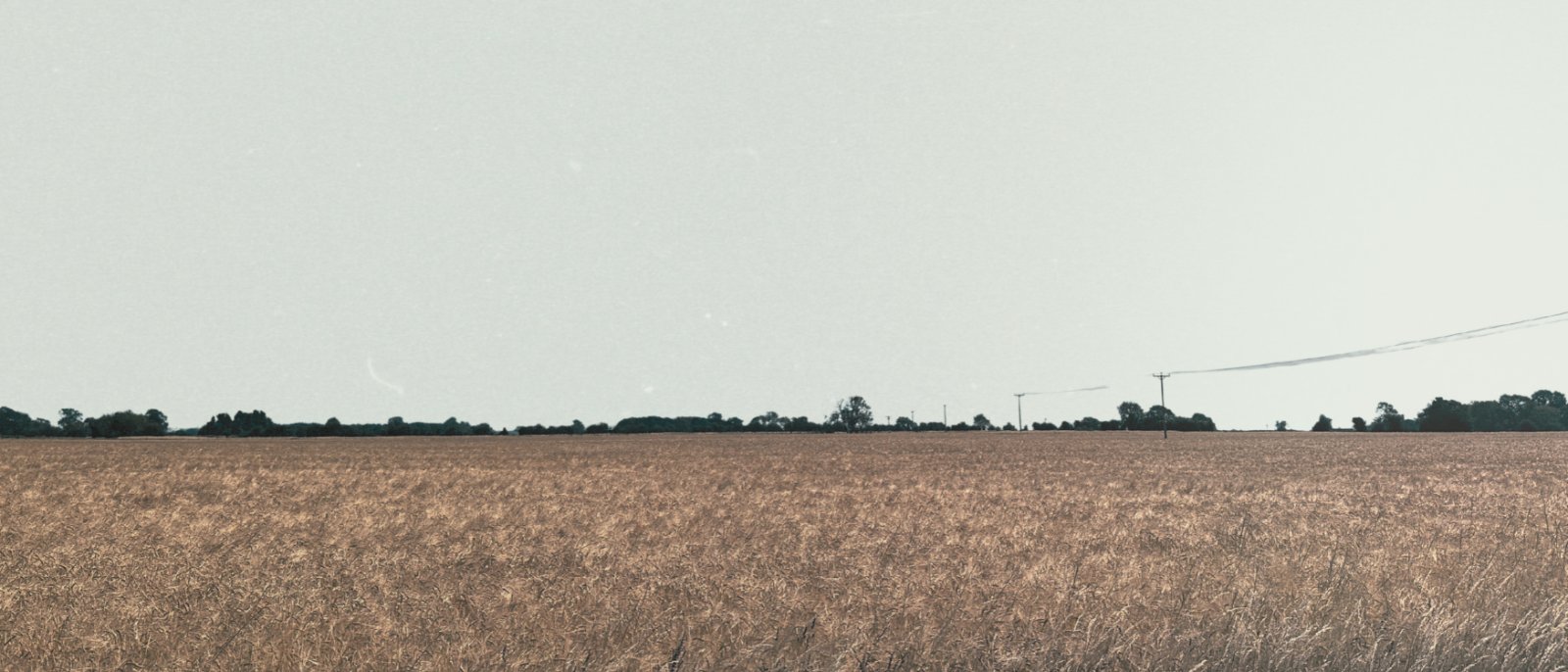 Harry's Ambient Monthly: October '26